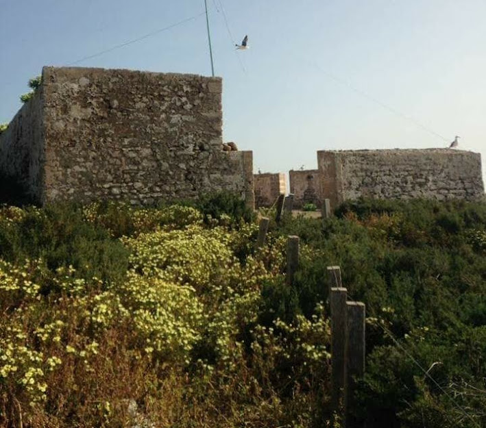 Activité spéciale IOTA - Ile de Mogador 3